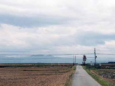 ��Ȫ�ŵ�Ŵƻ&nbsp;����&nbsp;Ƨ��